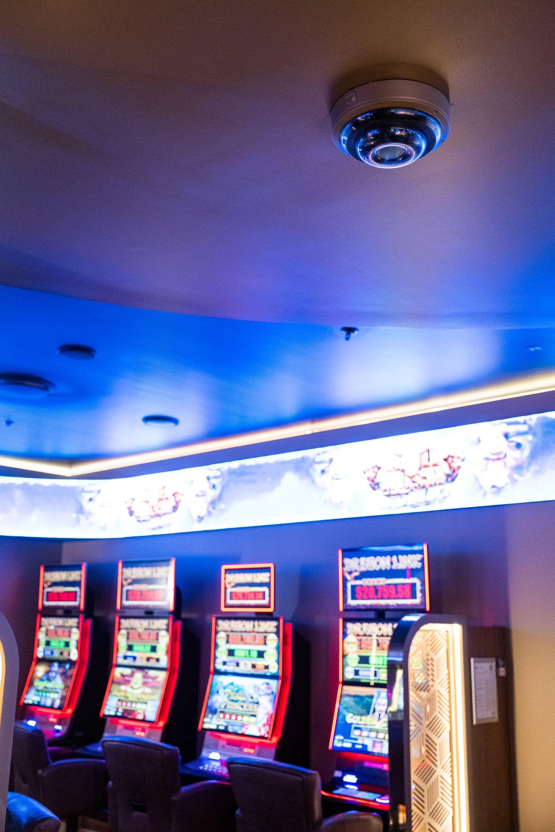 Cameras covering a licensed venue interior